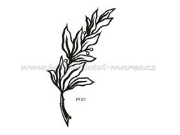 Pf01.jpg