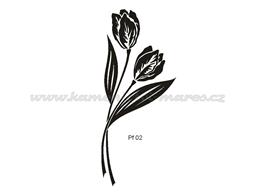 Pf02.jpg