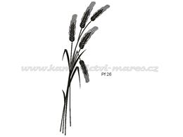 Pf26.jpg