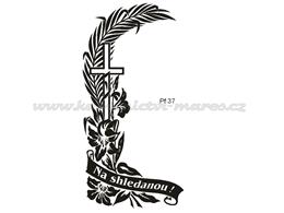 Pf37.jpg